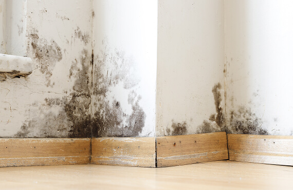 Propertydamage