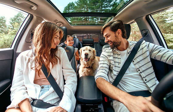Carfamily Carfamily