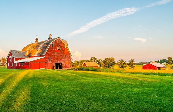 Farm Farm